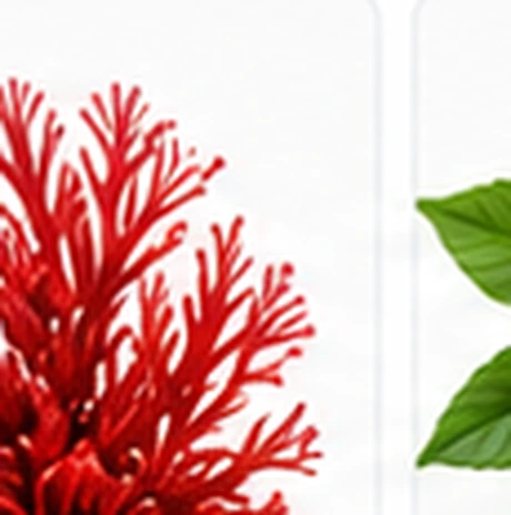 AstaReal&reg; Astaxanthin botanical ingredient image